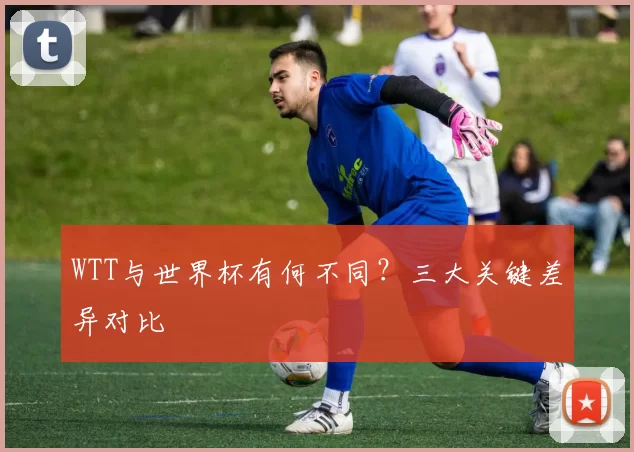 WTT与世界杯有何不同？三大关键差异对比