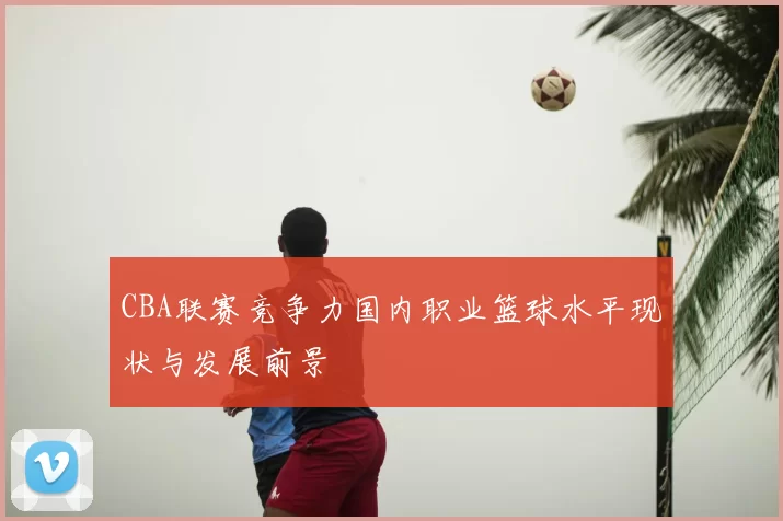 CBA联赛竞争力国内职业篮球水平现状与发展前景