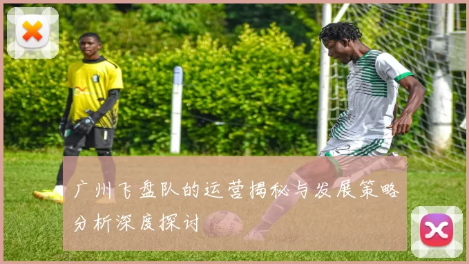 广州飞盘队的运营揭秘与发展策略分析深度探讨