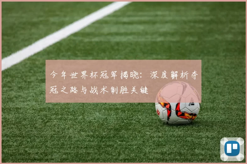 今年世界杯冠军揭晓：深度解析夺冠之路与战术制胜关键