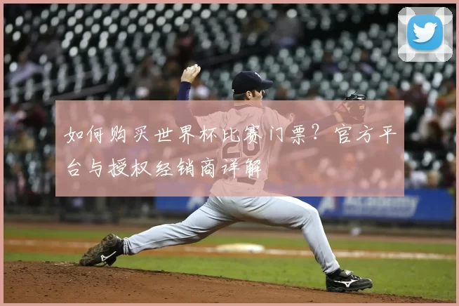 如何购买世界杯比赛门票?官方平台与授权经销商详解