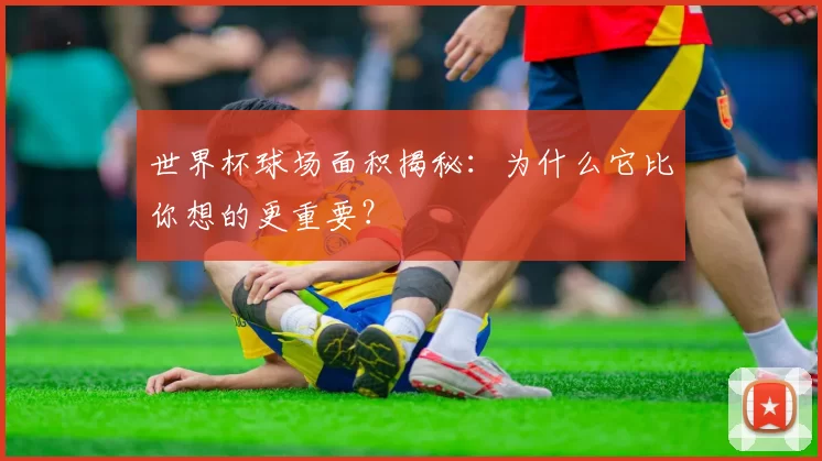 世界杯球场面积揭秘：为什么它比你想的更重要？