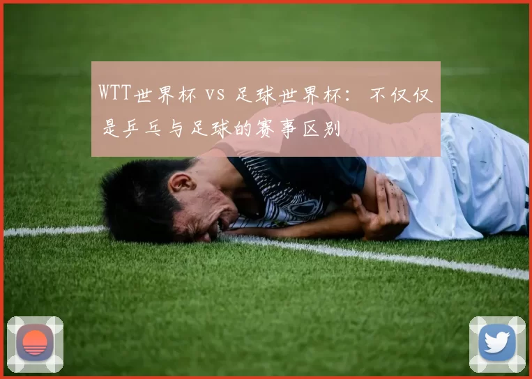 WTT世界杯 vs 足球世界杯：不仅仅是乒乓与足球的赛事区别