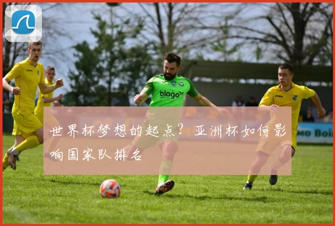 世界杯梦想的起点?亚洲杯如何影响国家队排名