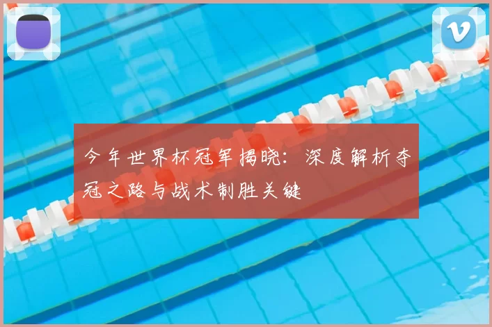 今年世界杯冠军揭晓：深度解析夺冠之路与战术制胜关键