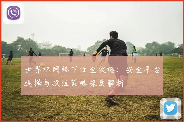 世界杯网络下注全攻略：安全平台选择与投注策略深度解析