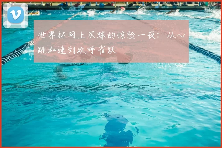 世界杯网上买球的惊险一夜:从心跳加速到欢呼雀跃