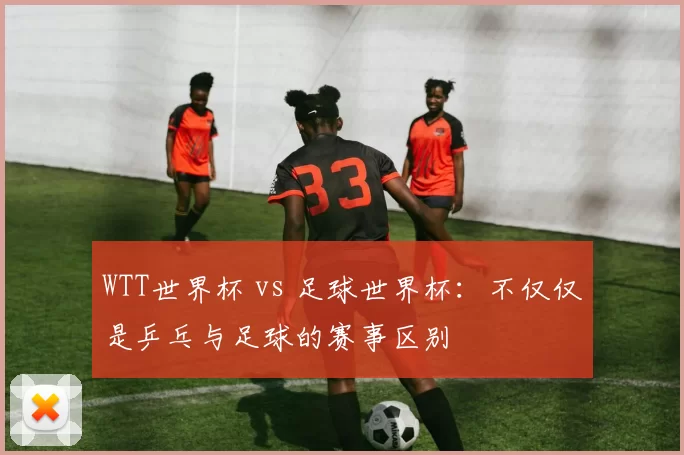 WTT世界杯 vs 足球世界杯：不仅仅是乒乓与足球的赛事区别