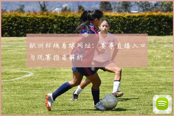 欧洲杯线看球网址：赛事直播入口与观赛指南解析