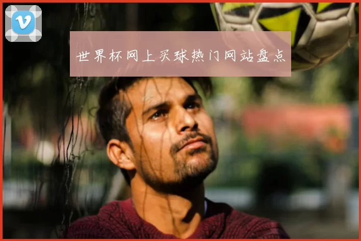 世界杯网上买球热门网站盘点