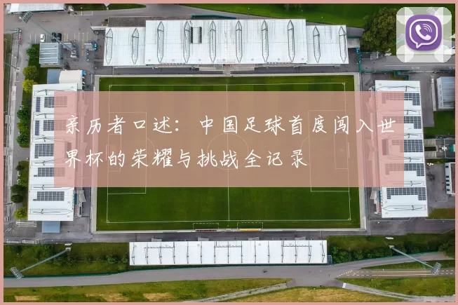 亲历者口述：中国足球首度闯入世界杯的荣耀与挑战全记录