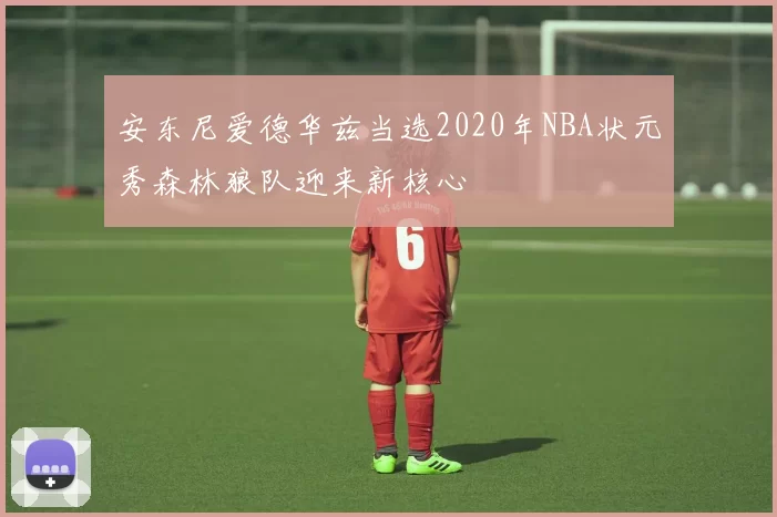 安东尼爱德华兹当选2020年NBA状元秀森林狼队迎来新核心