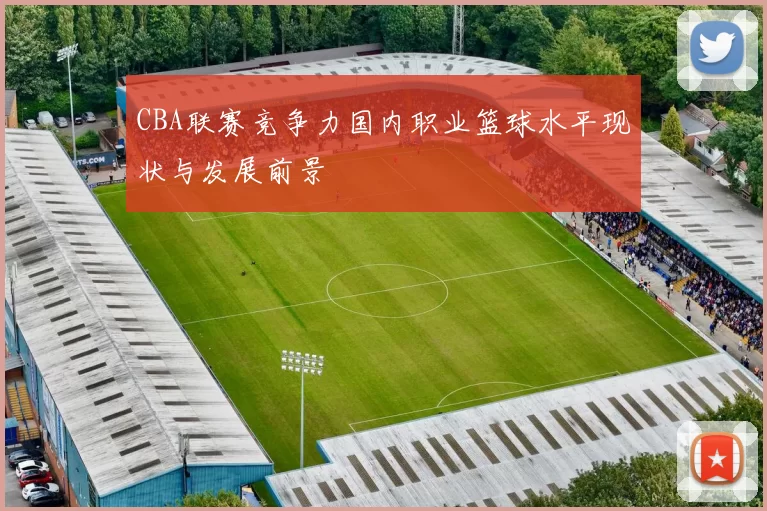 CBA联赛竞争力国内职业篮球水平现状与发展前景