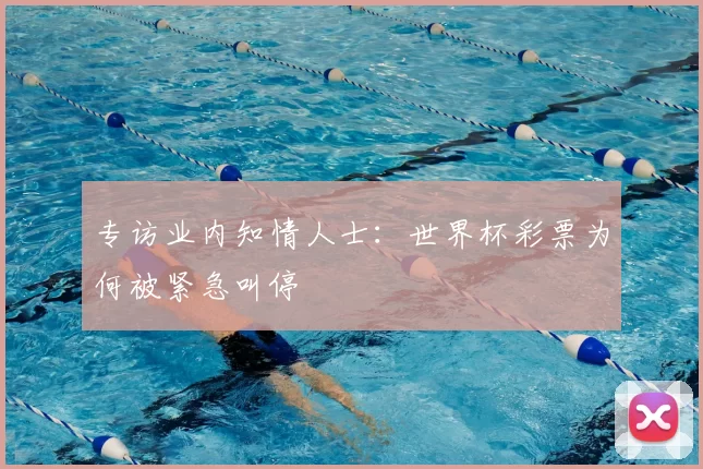 专访业内知情人士：世界杯彩票为何被紧急叫停