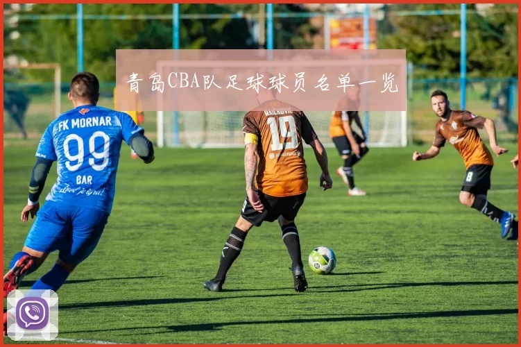 青岛CBA队足球球员名单一览