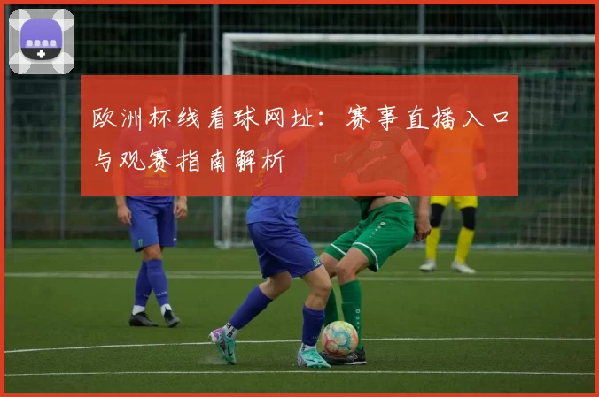 欧洲杯线看球网址：赛事直播入口与观赛指南解析